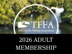 2026 adult membership