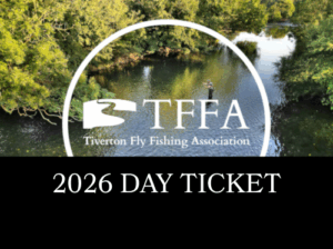 2026 day ticket