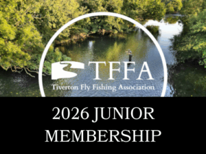 2026 junior membership