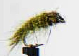 gold ribbed hairs ear