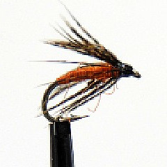 partridge and orange